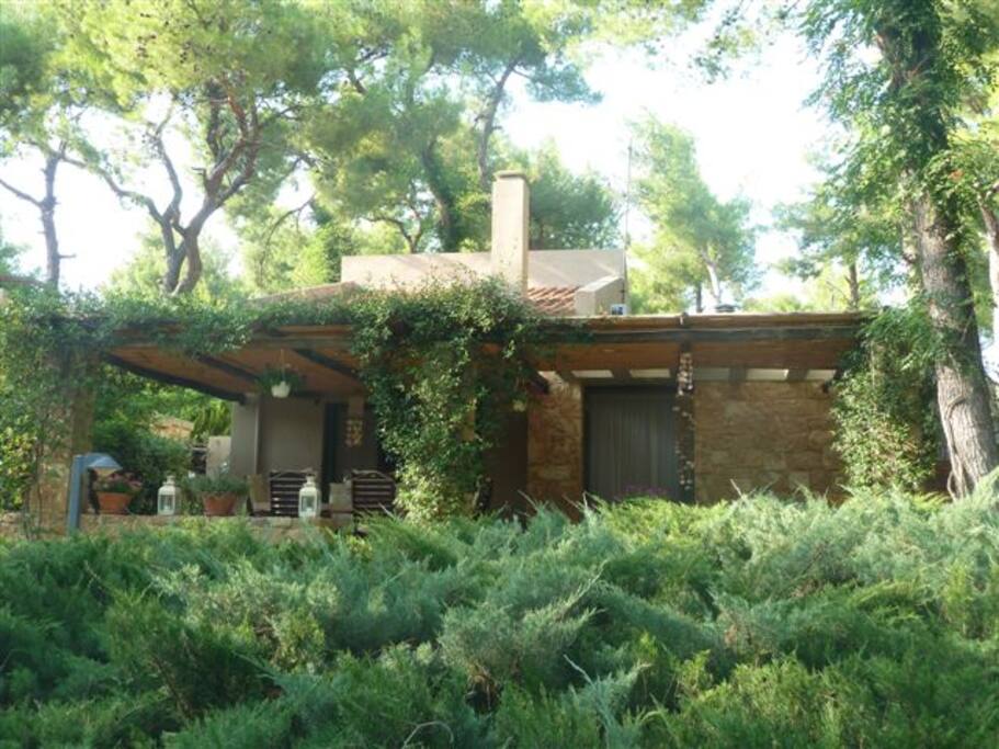 HOUSE EXTERIOR
