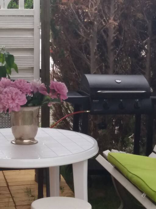 Überdachte Terasse mit Gasgrill.