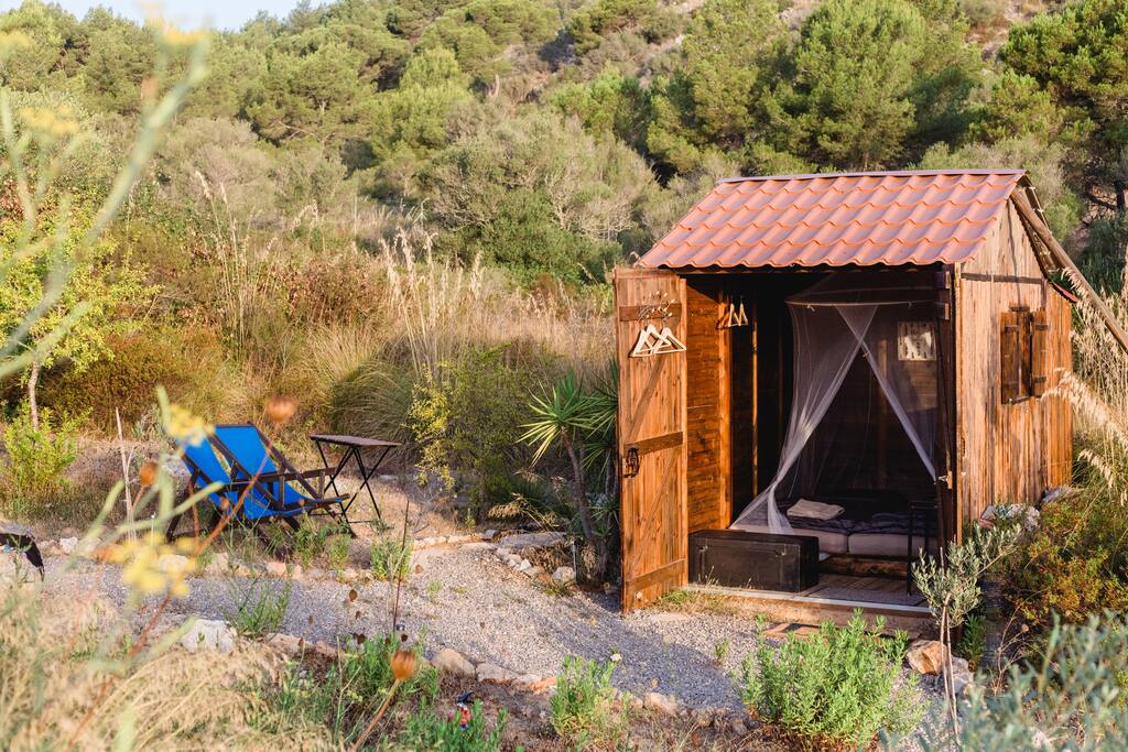 Cozy Cabin & Mosquitonet