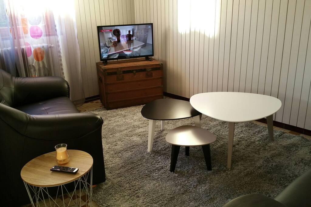 Salon TV, 2 canapés, livres, documentation touristiques, jeux de société