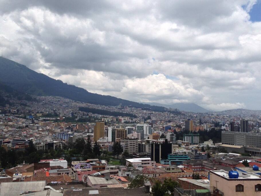 The view