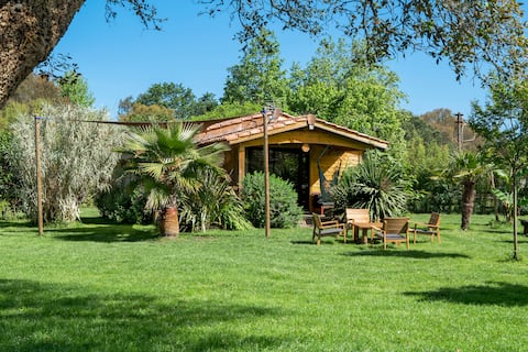 Chalet close to everything in the middle of the forest