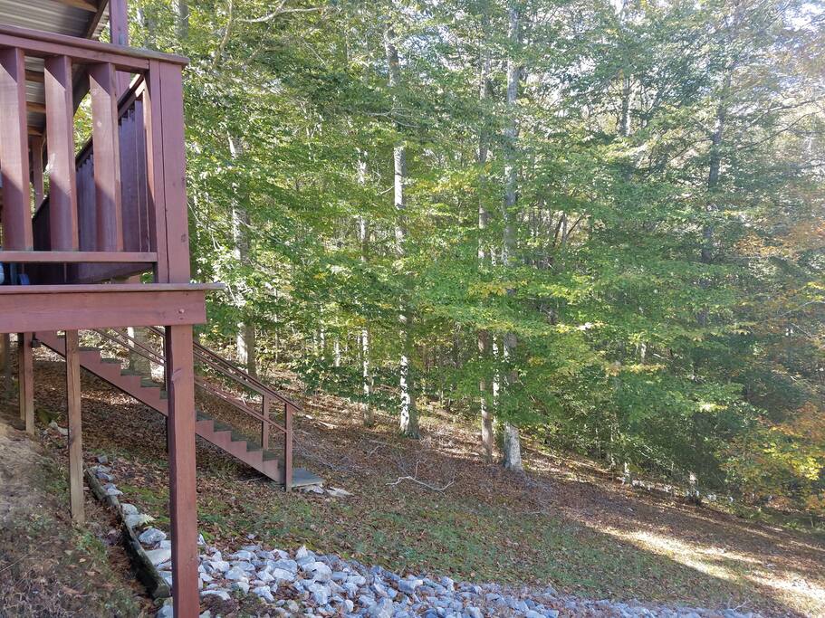 Woods to side of home