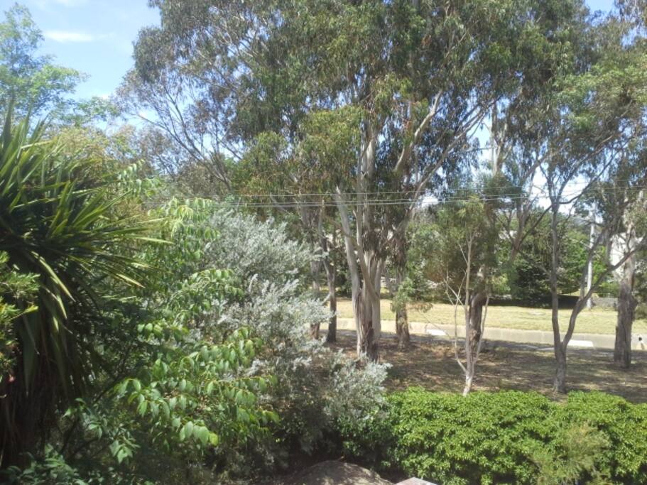 Outlook from balcony