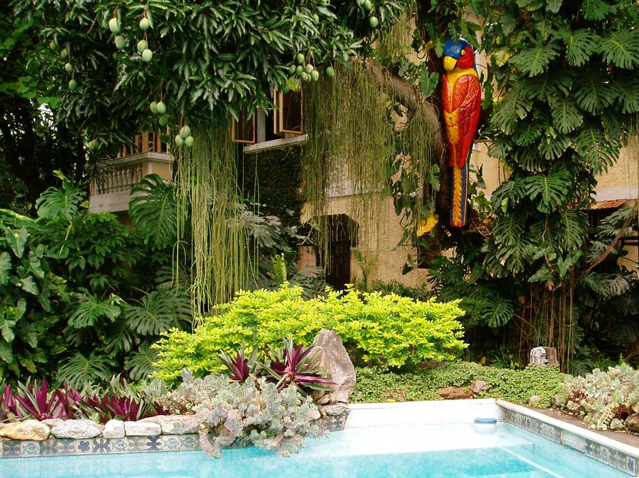 the main house