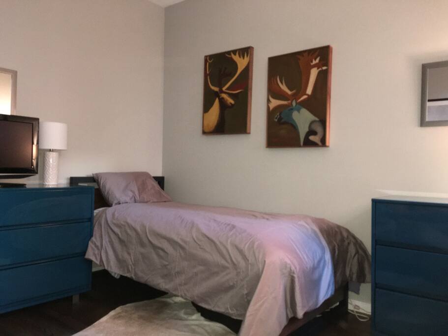 Comfortable twin bed in same bedroom as sofa bed allows for up to 3 guests.