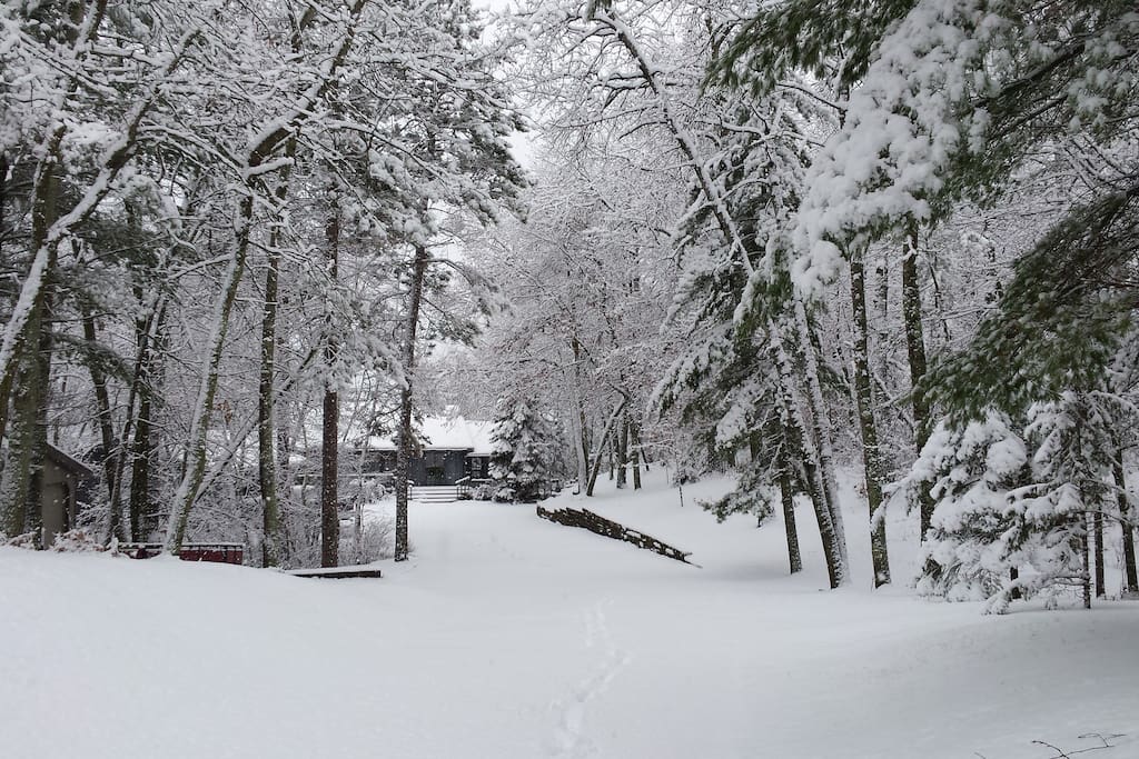 Recent snow - short drive to x country ski trails!!