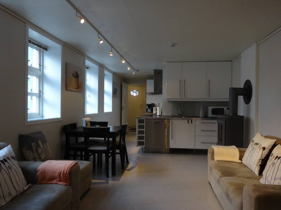 Living room and kitchen with fireplace.