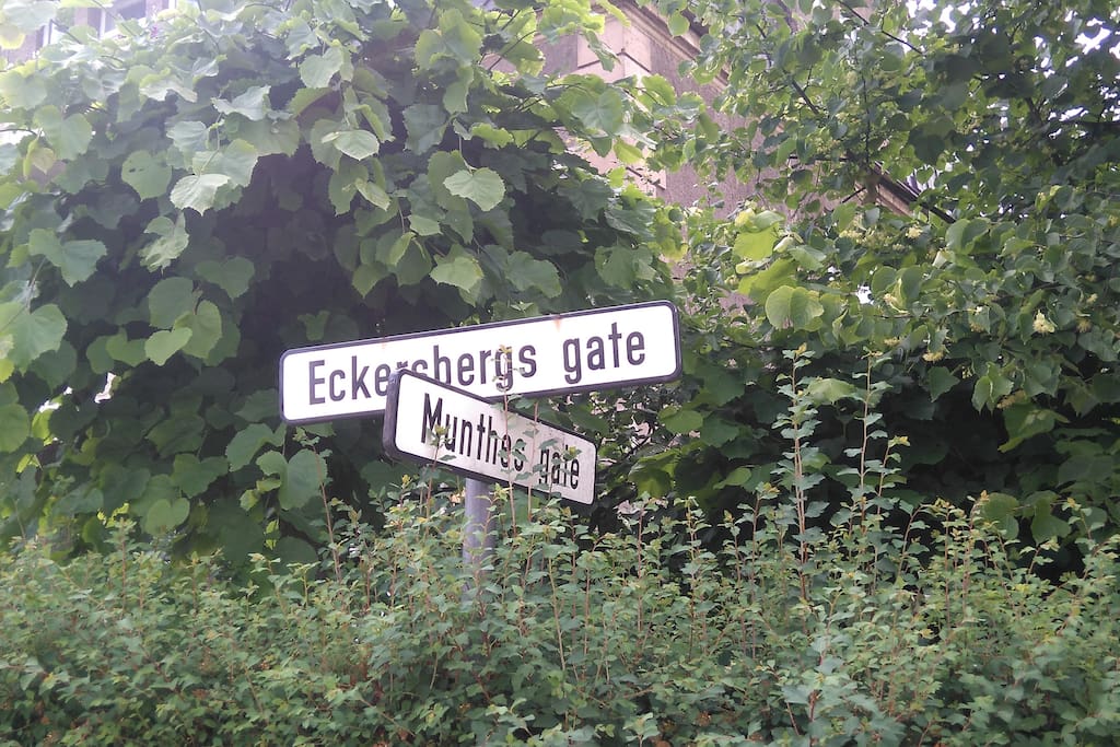 This area, and our block in particular, is very quiet, and relatively green and open to be so centrally located.