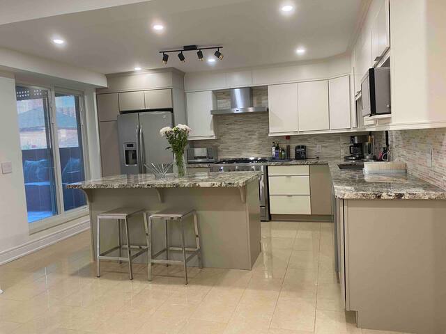 Two Storey House Elegant Design Heart of Toronto. gallery image 4