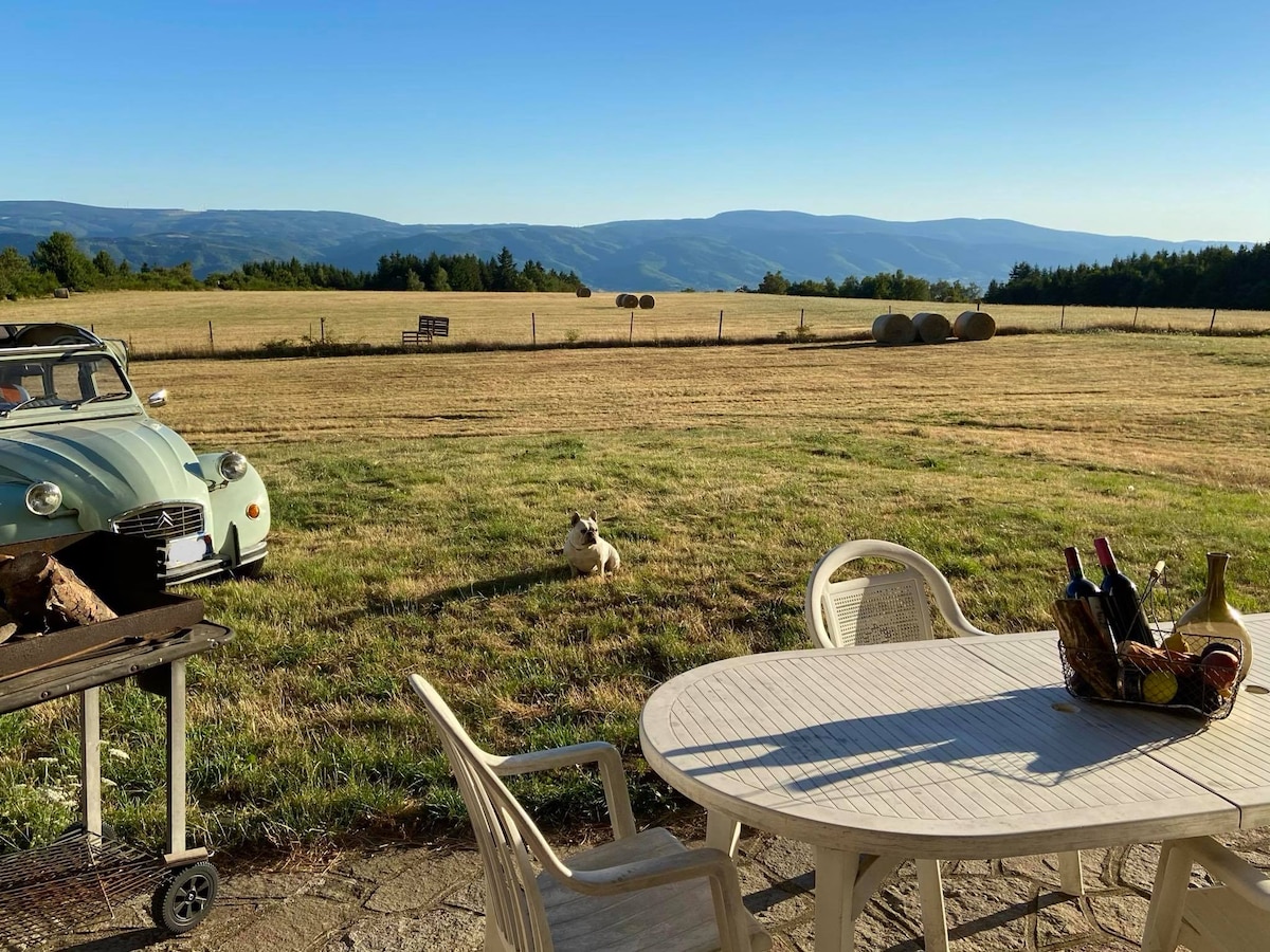 A calm outdoor setting is presented, featuring a round table surrounded by several chairs. A vintage car is parked nearby, with rolling hills in the background. The scene captures a vast open field with hay bales and a pet dog sitting peacefully on the grass.