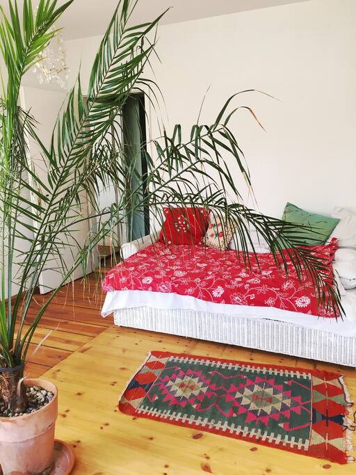 guest room bedsofa