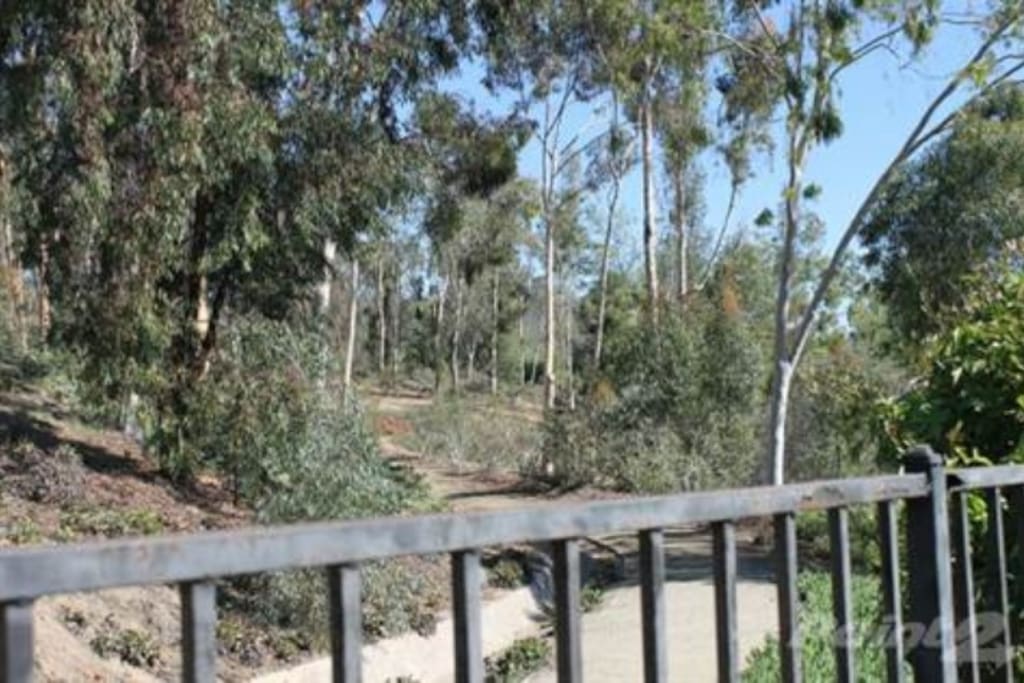 PRODUCTION View homes for sale in Lakeside, CA at a median listing price of $, See pricing and listing details of Lakeside real estate for sale.