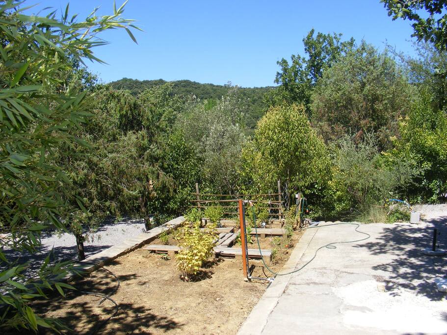 Moestuin en terras