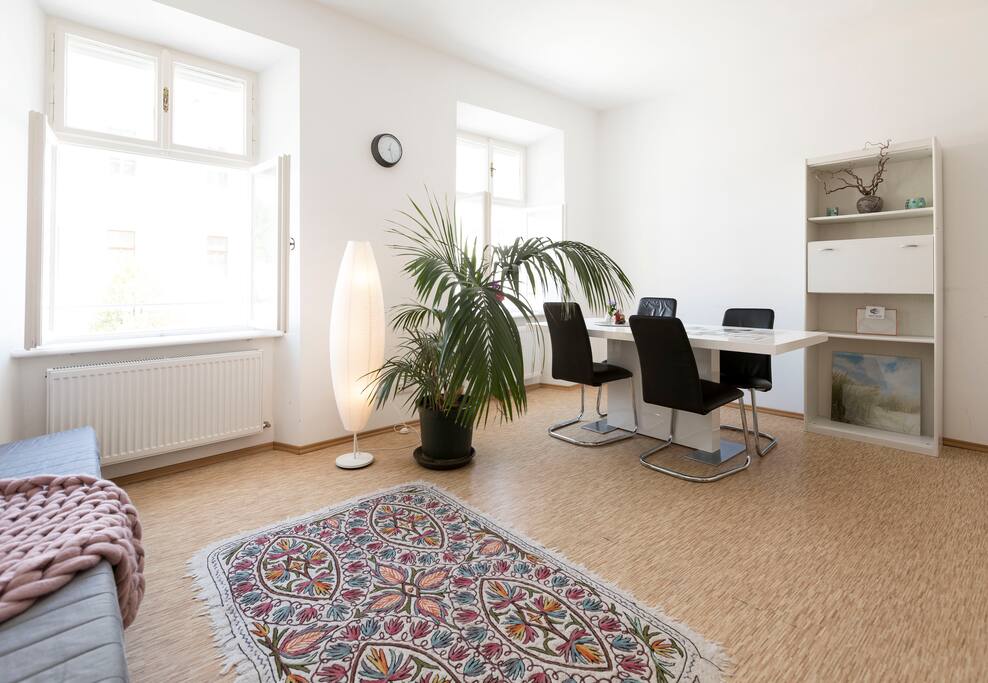 Big room, cosy bright and city flair