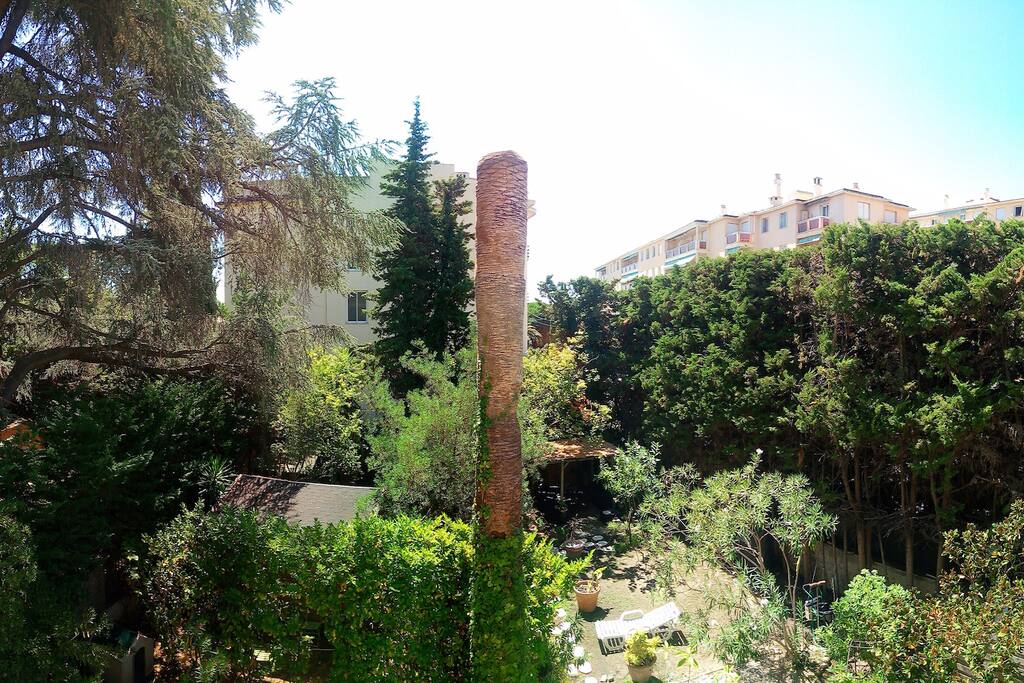Vue jardin depuis le balcon