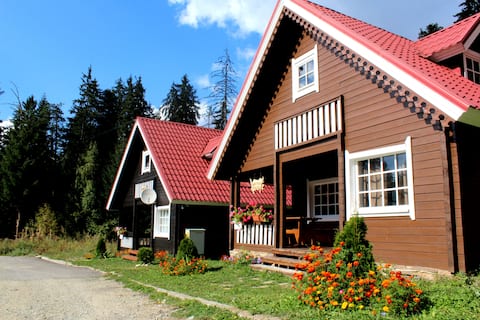 Alpine ski chalet Tomba with sauna