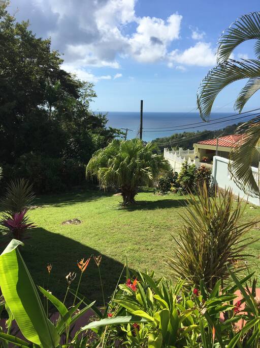 Front Garden