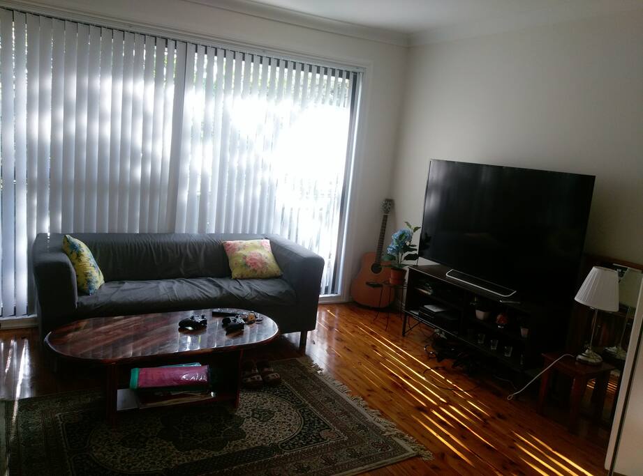Living area with TV