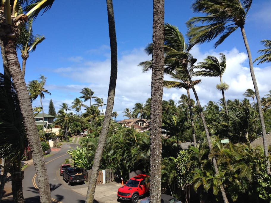 view from the lanai