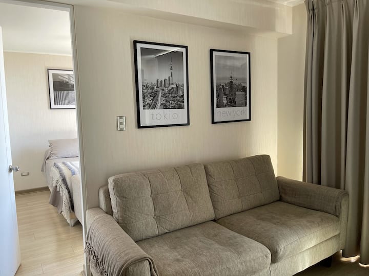 Elegant and comfortable apartment with minimalist design