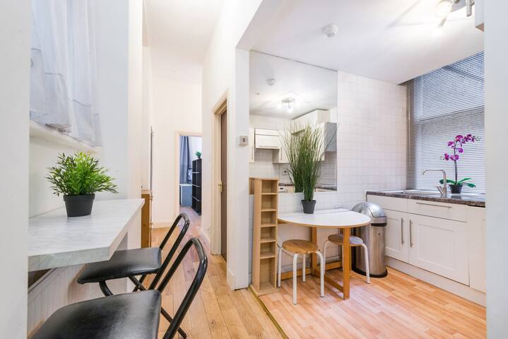 Baker Street Regents Park 2 Bedroom Apart 210 gallery image 5