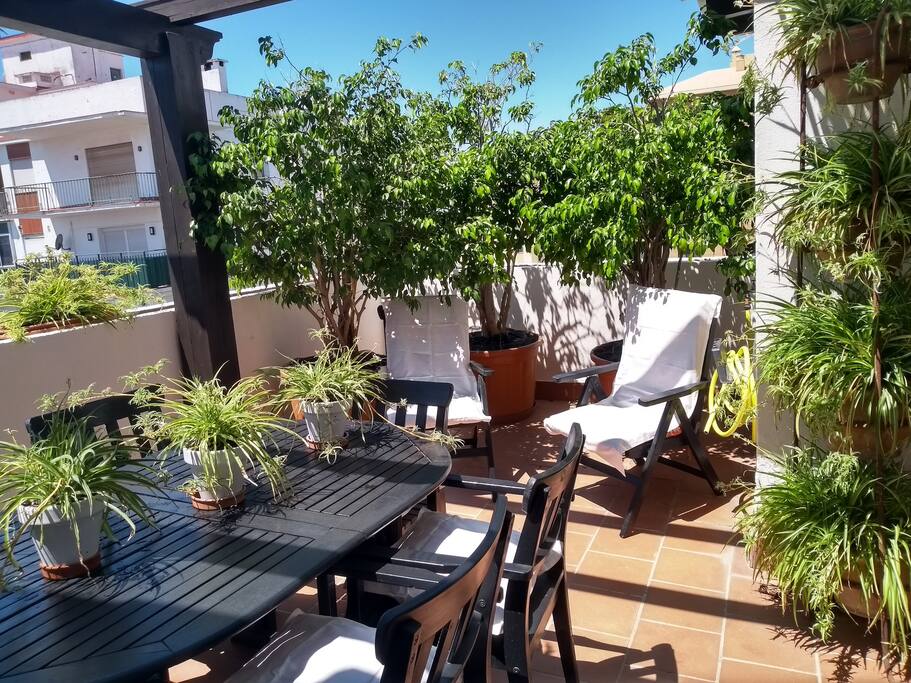 Terraza suroeste