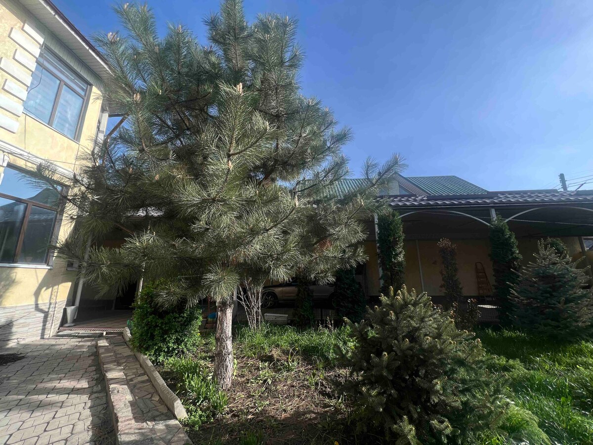 A well-maintained outdoor area is showcased with several pine trees and manicured shrubs. The surrounding space features a paved pathway and a blend of natural greenery, complemented by a sunny blue sky above.