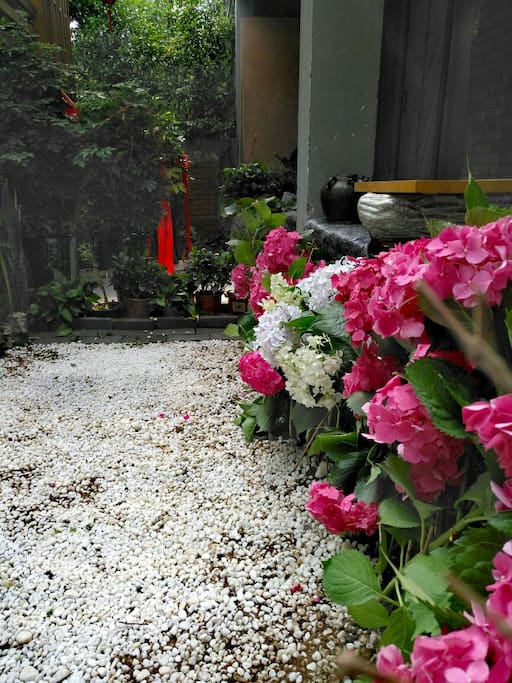 绣球花