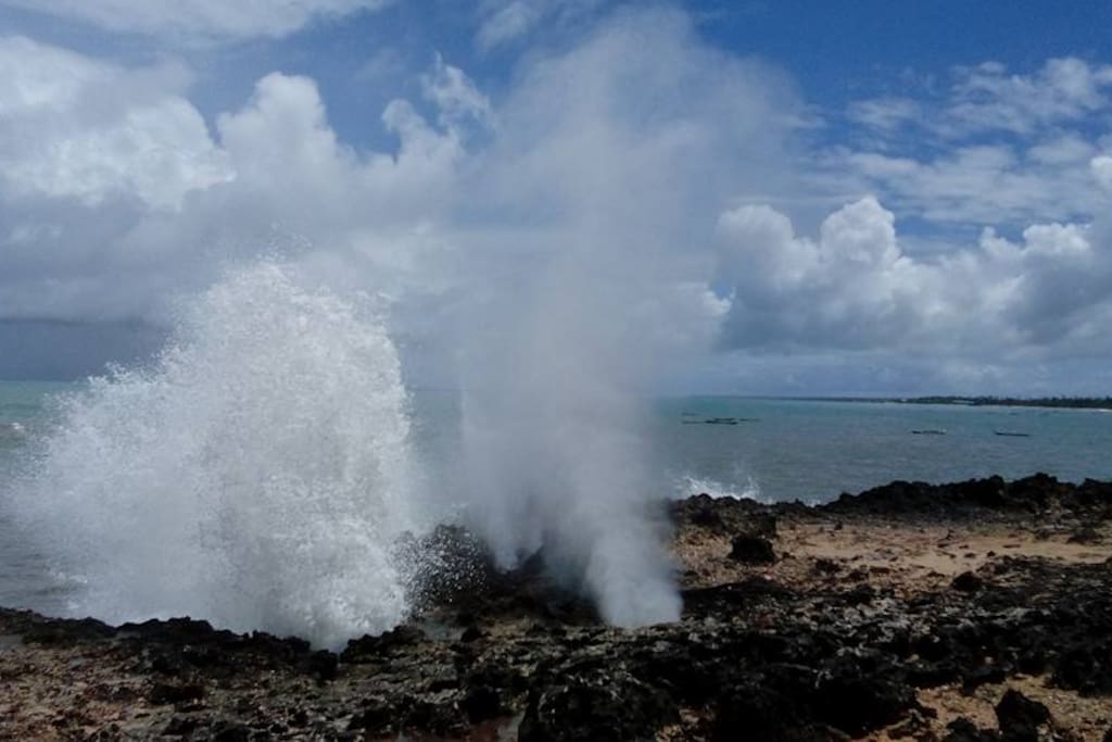 The blow hole