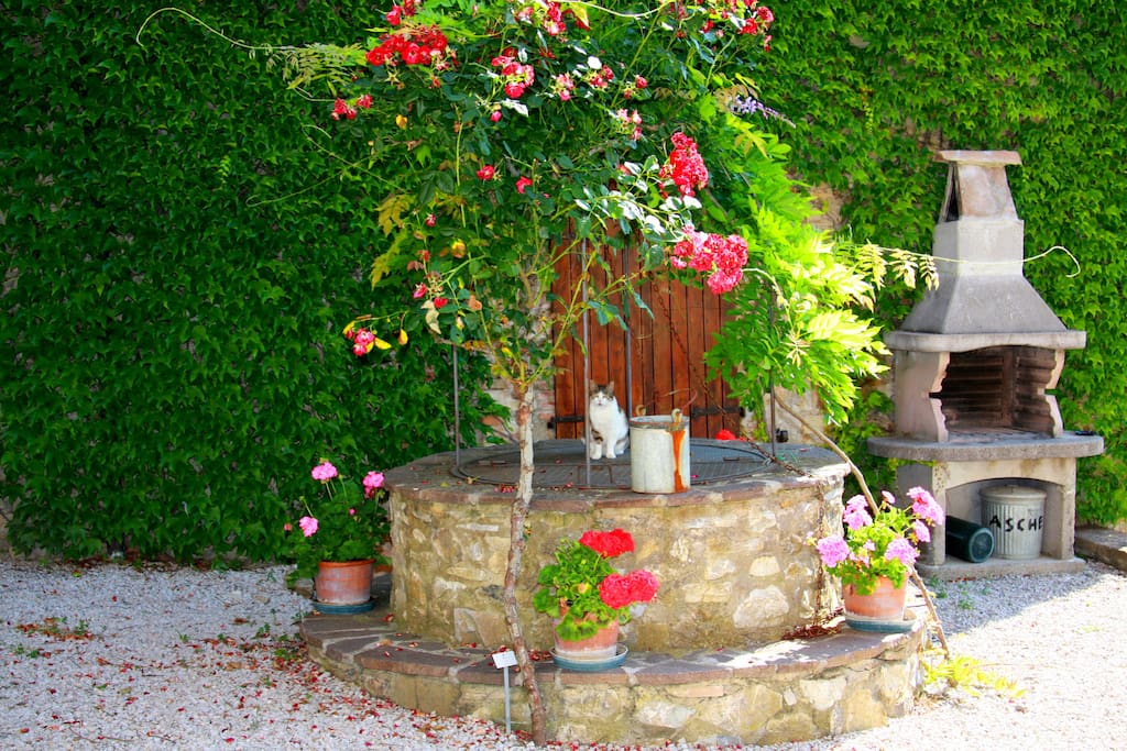 giardino