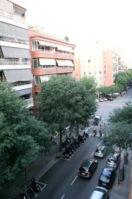 Calle Rocafort street view from the balcony