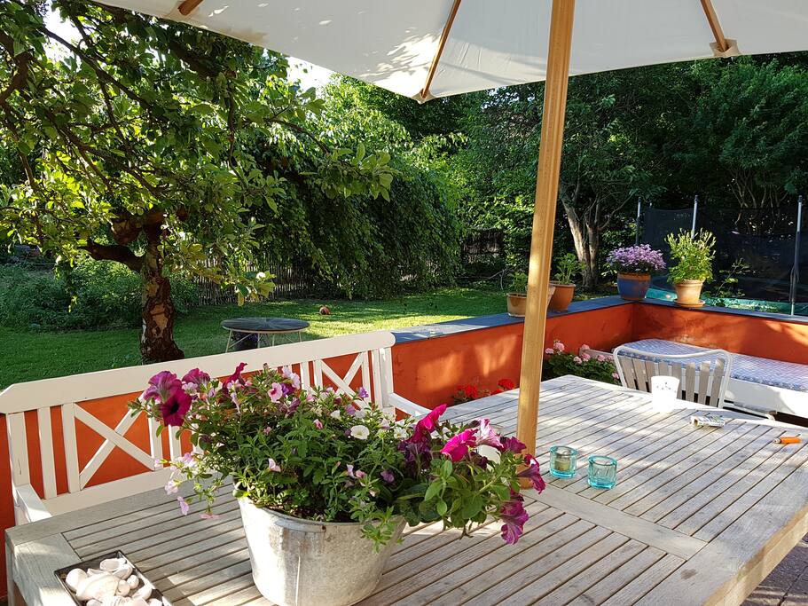 The garden behind the house, seen from the terrace.