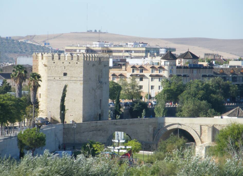 Vista desde la TERRAZA