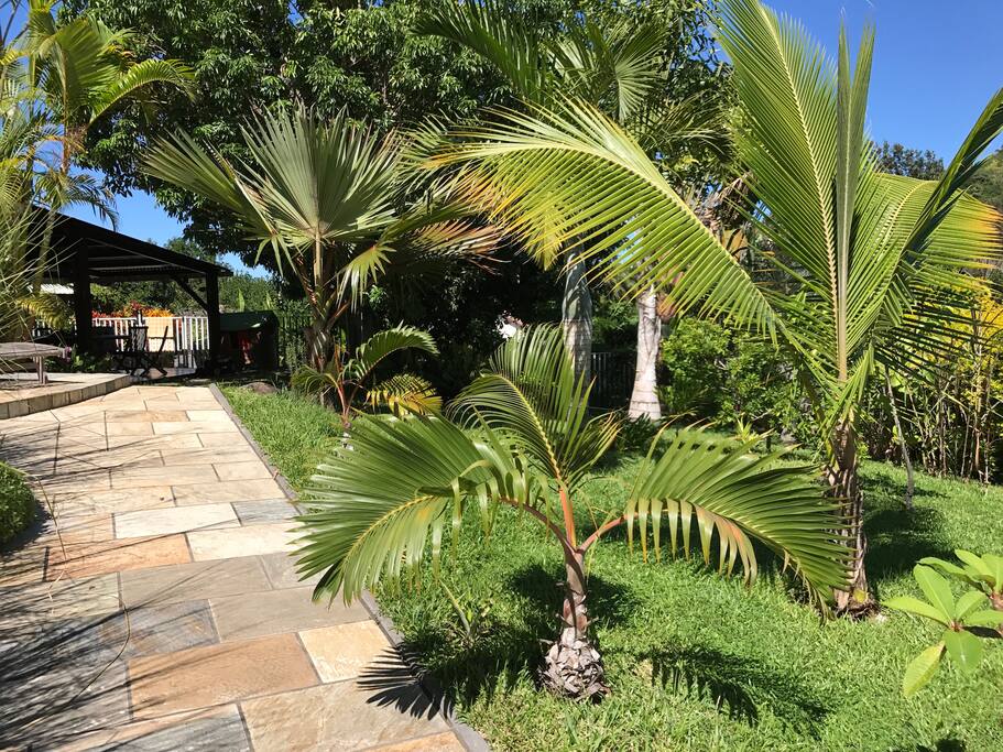 Jardin arboré