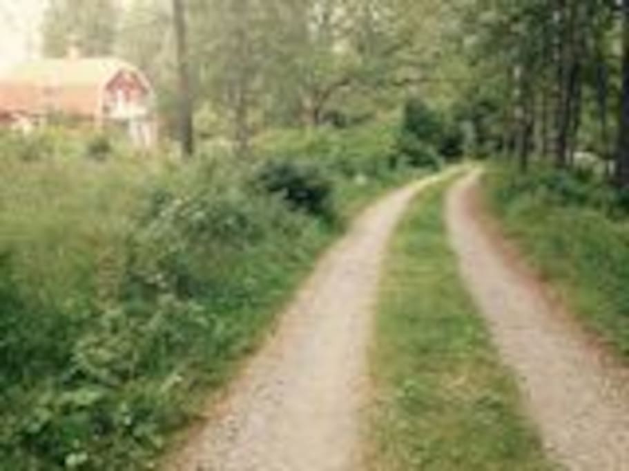 Main (private) road to house, no traffic, secluded area.