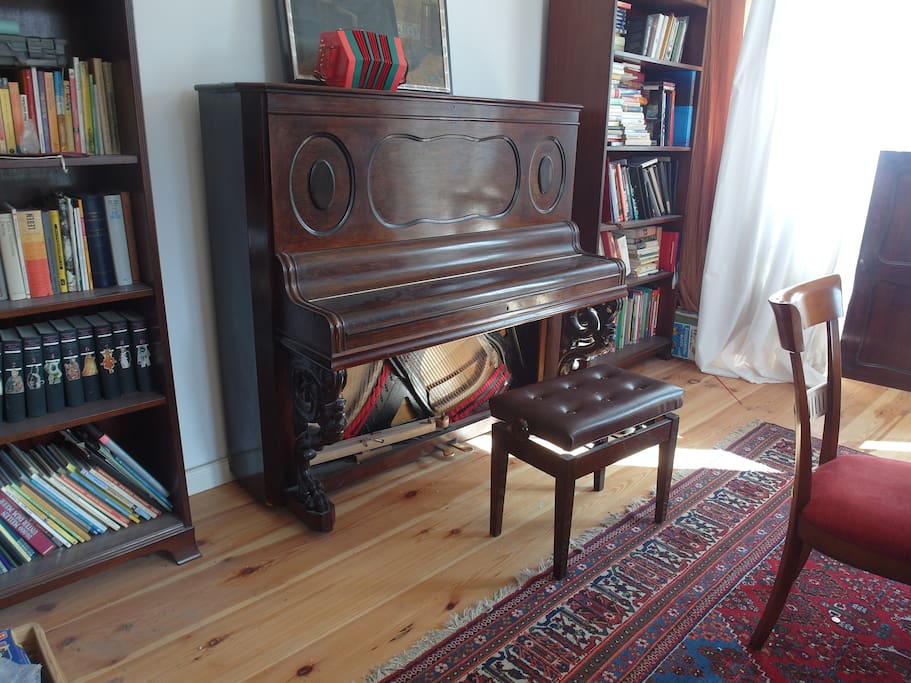 Musikzimmer mit Klavier, Harmonium (deutsch und indisch), Akkordeon, Konzertina, Gitarren u.a.m., Bibliothek