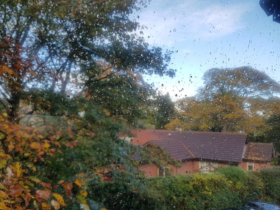 Lovely view to the exclusive houses and Dene