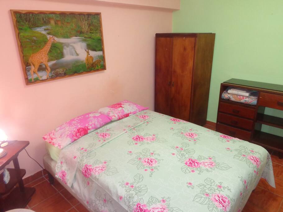 This is the room this listing rents out. Private bath and A/C. Plus a picture of giraffes by the river. Very Cuba.