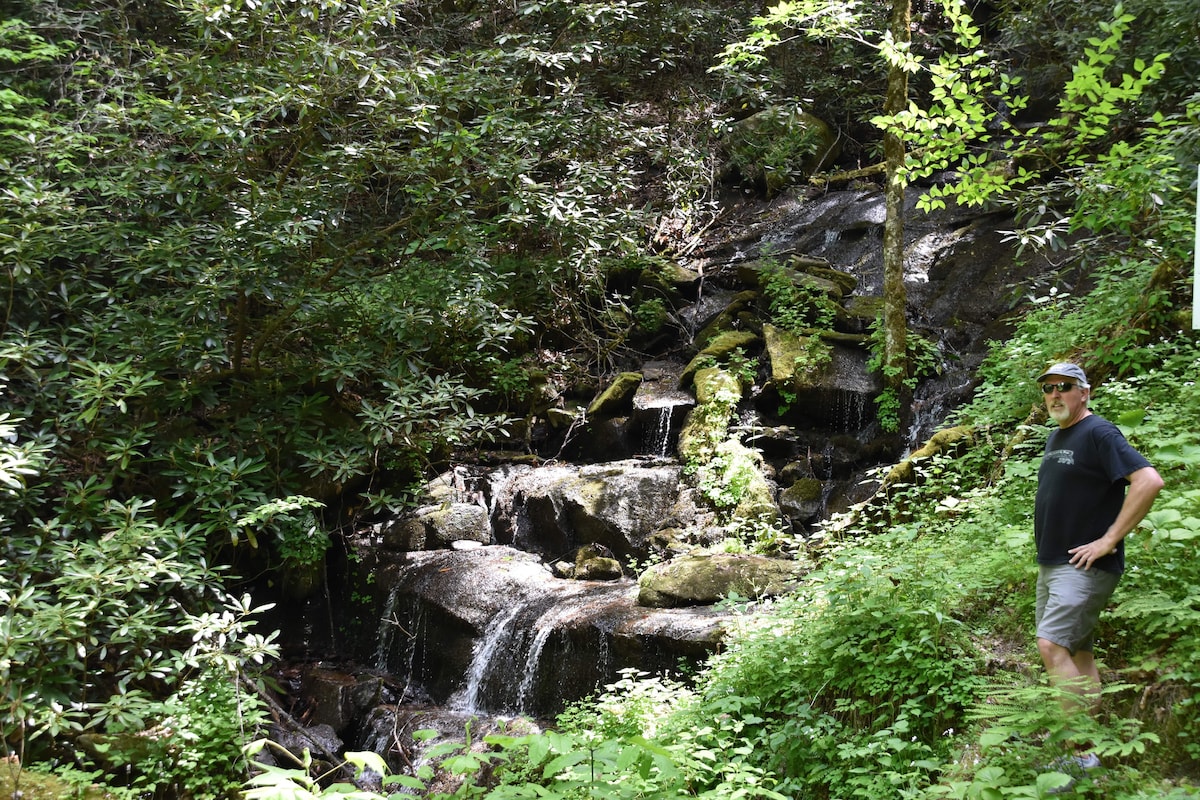 A natural waterfall can be seen cascading over rocks surrounded by lush greenery. The water flows gently, creating a serene atmosphere. Pathways through the vegetation lead closer to the falls, enhancing the tranquil forest setting.