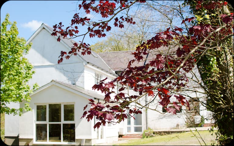 Quiet restful haven in nature, near the coast