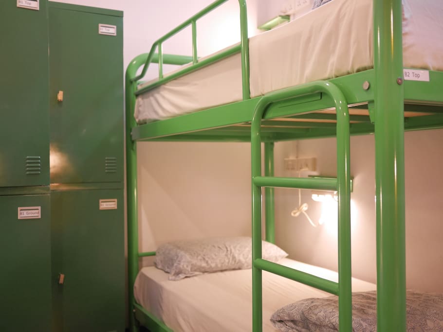 Beary's Private 6 Bed Dorm