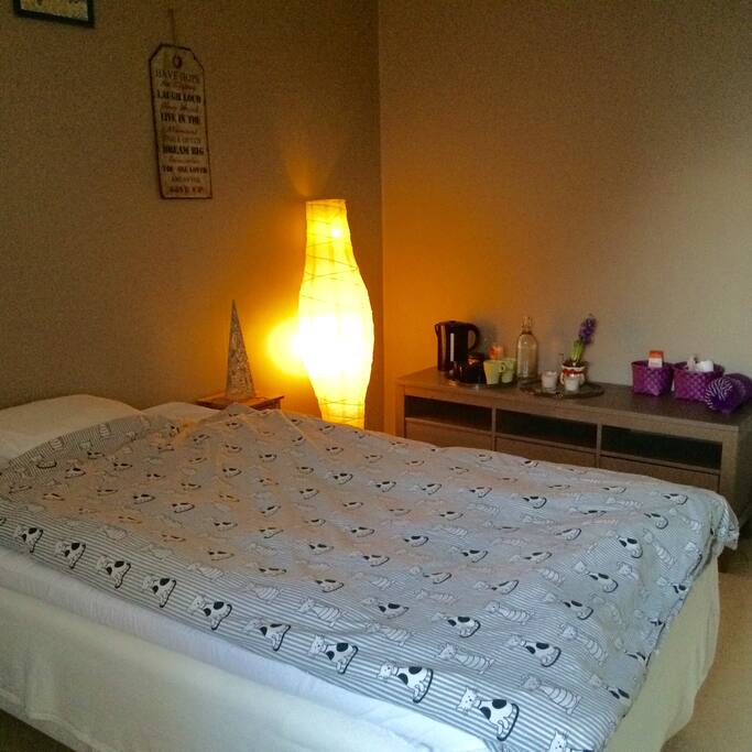The bed (there is a tv on the counter behind the bed now)