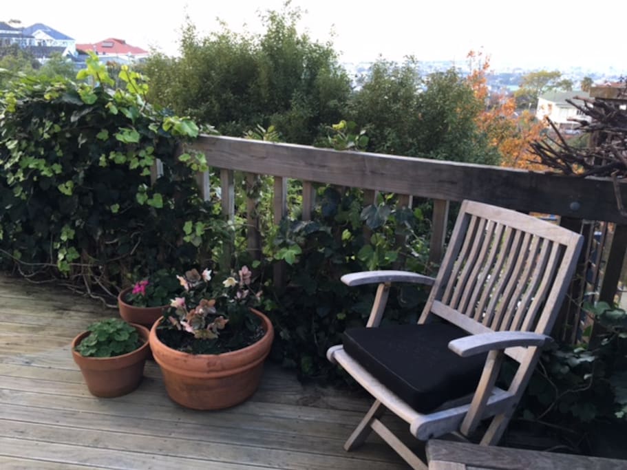 Private deck : take in the views of Napier below