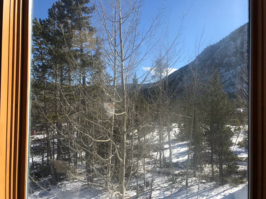 View from the Master Bedroom