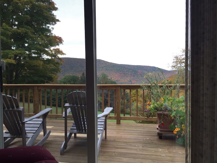 View from the living room out to the patio