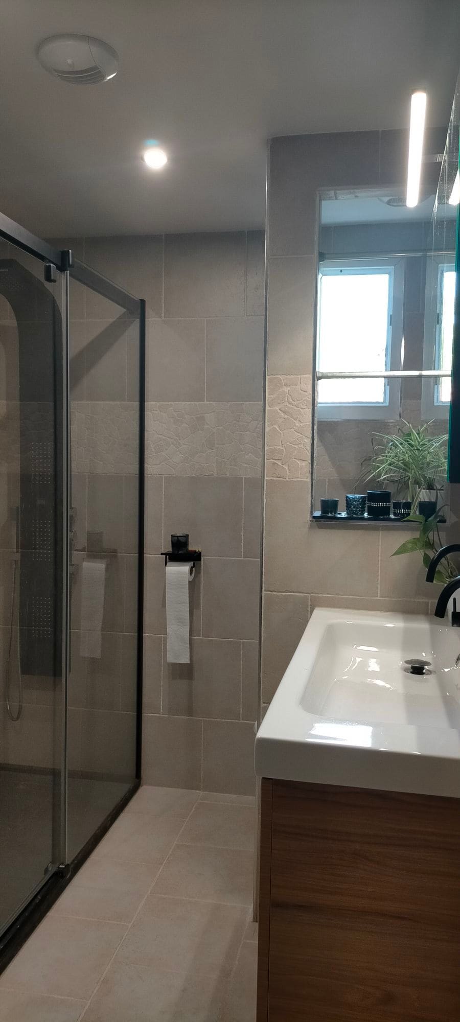 A modern bathroom features a glass shower enclosure and a sleek vanity with a white sink. Neutral tiled walls are complemented by a large mirror and a potted plant adds a touch of greenery. Natural light filters through a nearby window.