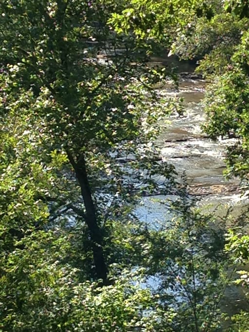 View of River from Terrace