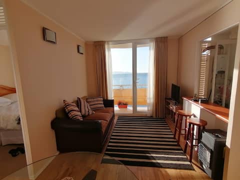 Top performing Airbnb: Privileged view. in Región Del Biobío