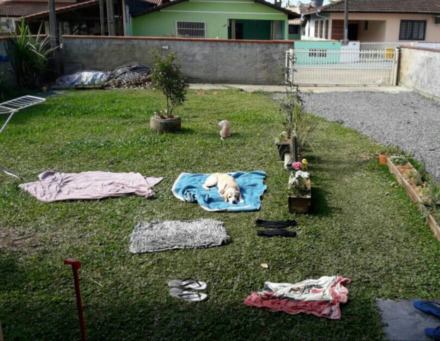 Jardim